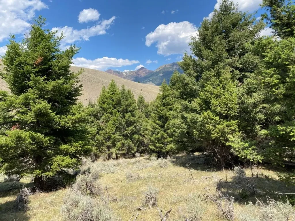Tbd Camp Creek Road Melrose MT 59743