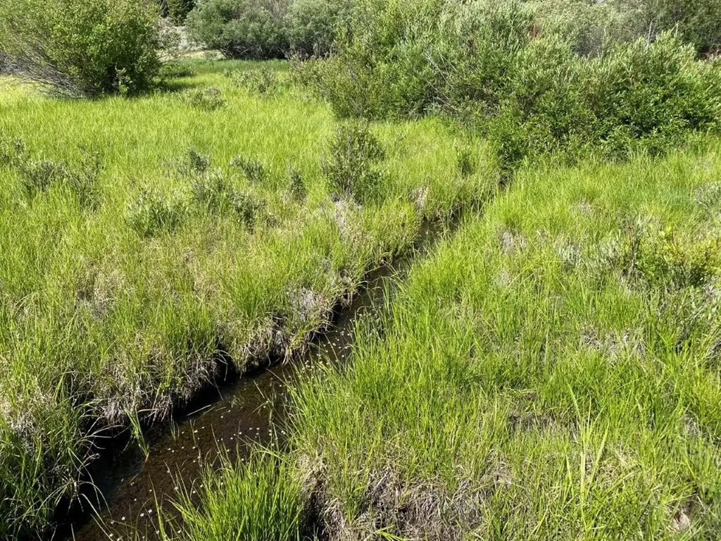Tbd Camp Creek Road Melrose MT 59743