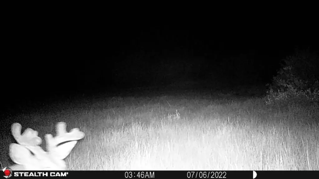 Tbd Camp Creek Road Melrose MT 59743