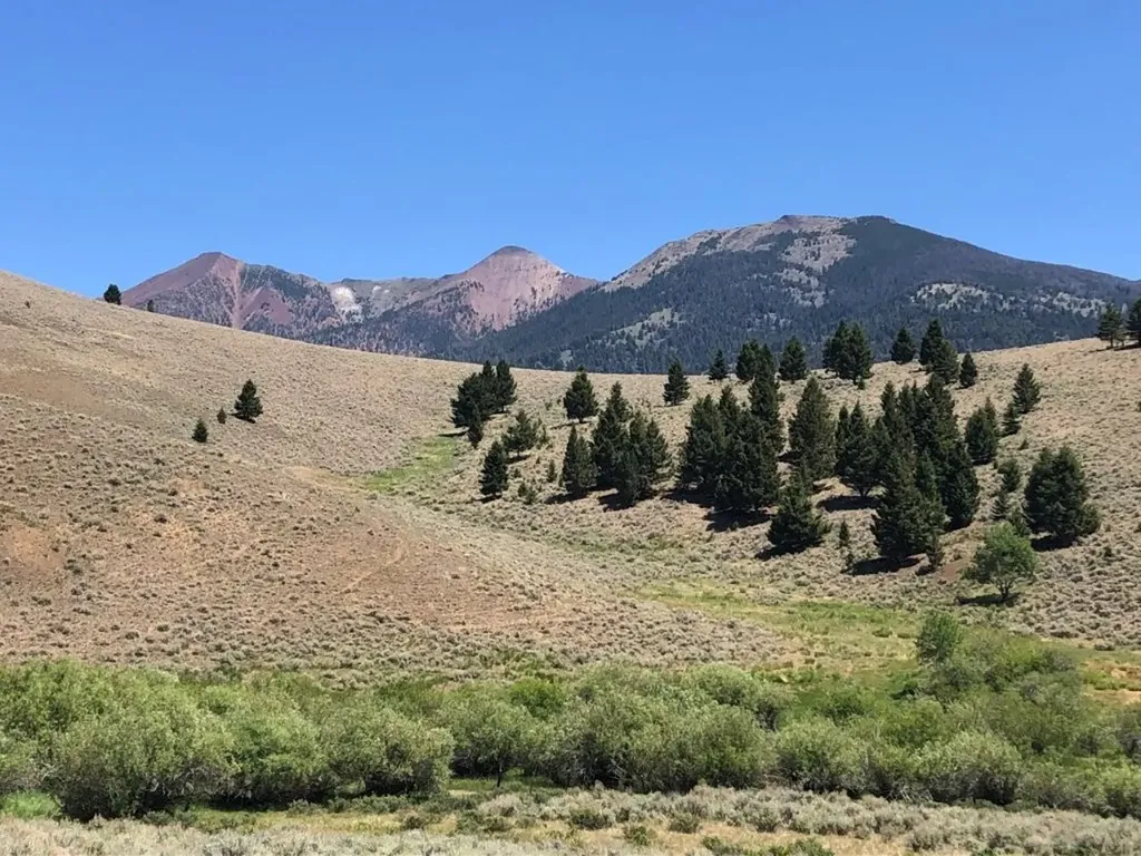 Tbd Camp Creek Road Melrose MT 59743
