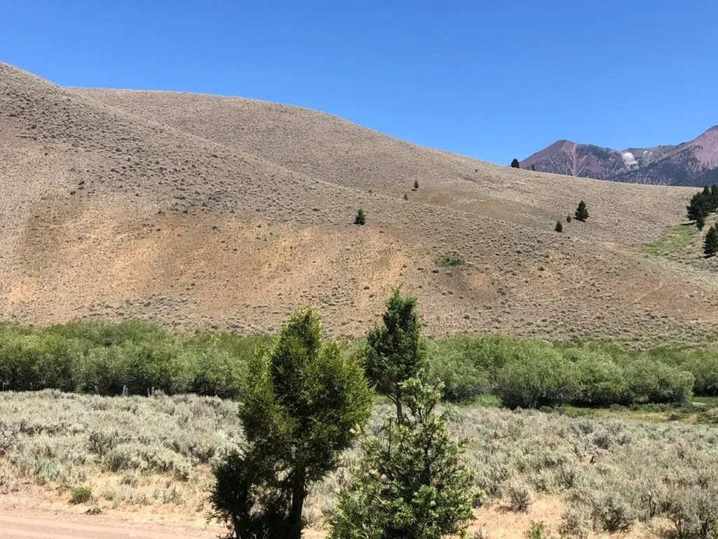Tbd Camp Creek Road Melrose MT 59743