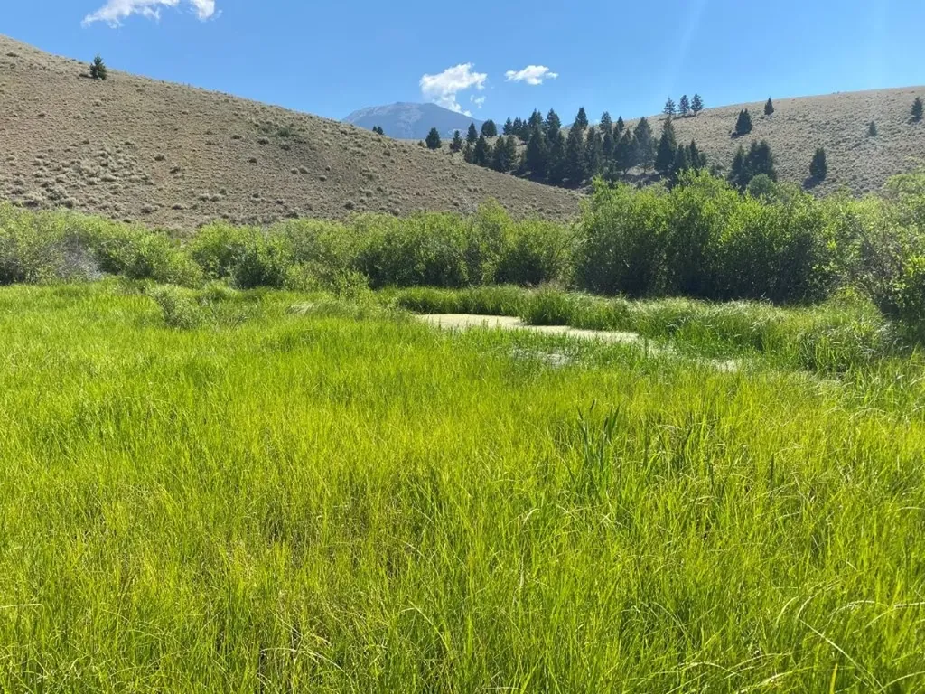 Tbd Camp Creek Road Melrose MT 59743