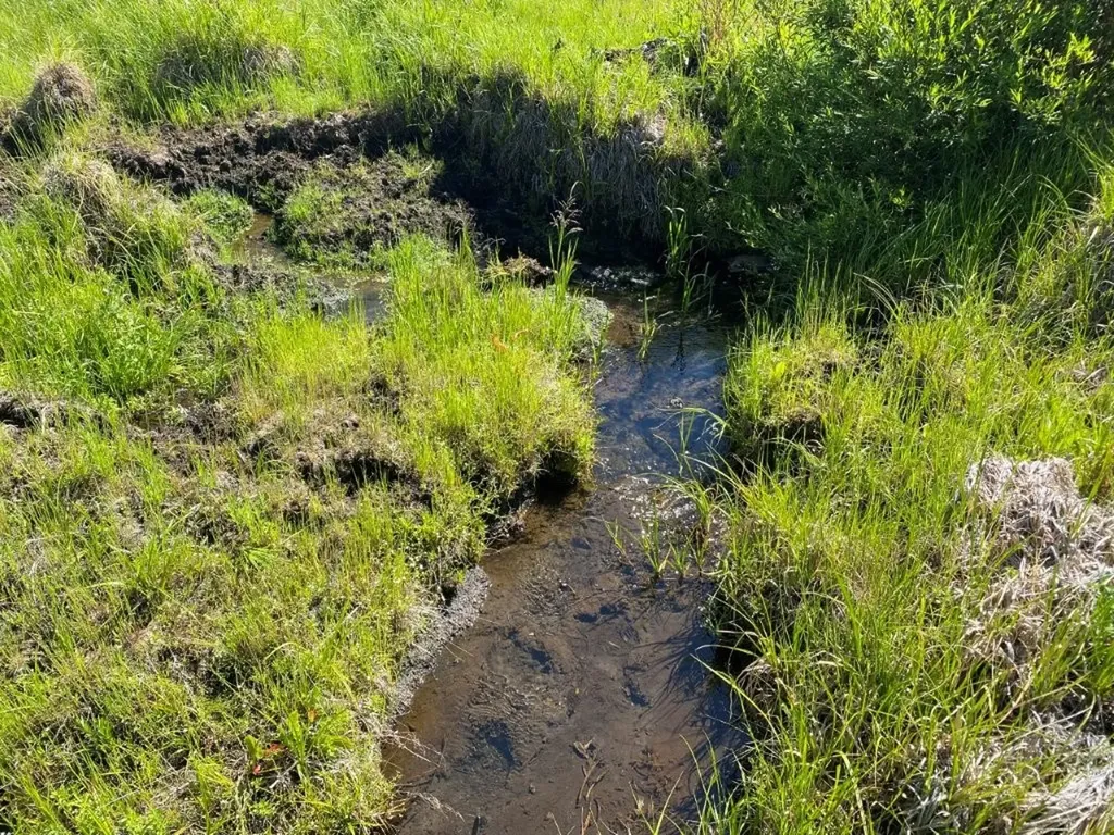 Tbd Camp Creek Road Melrose MT 59743