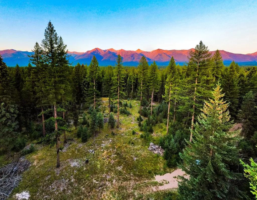 Nhn Scenic Drive Condon MT 59826