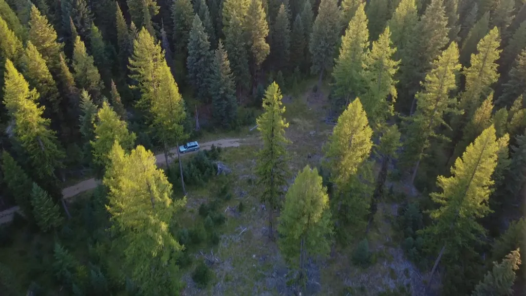 Nhn Scenic Drive Condon MT 59826