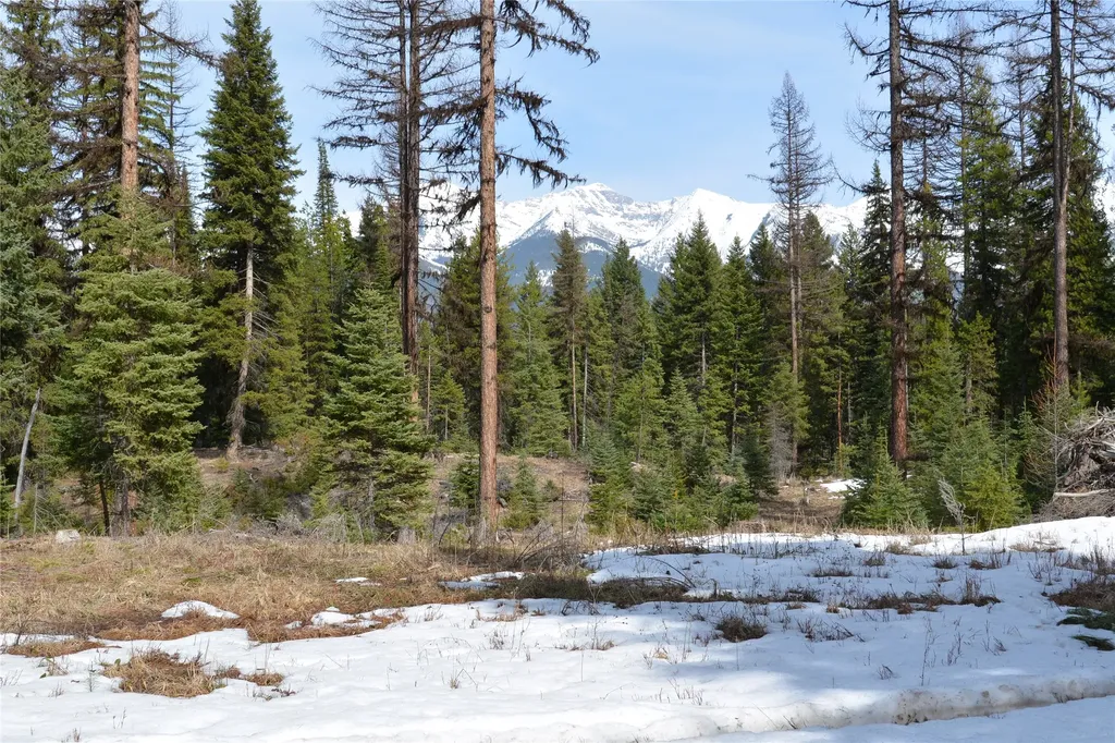 Nhn Scenic Drive Condon MT 59826