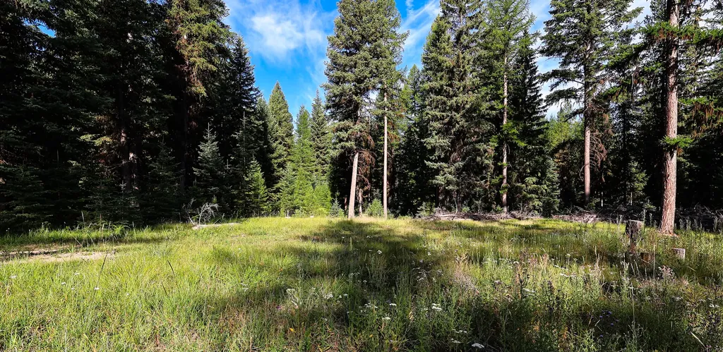Nhn Scenic Drive Condon MT 59826