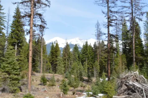 NHN Scenic Drive Condon MT 59826