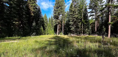 NHN Scenic Drive Condon MT 59826