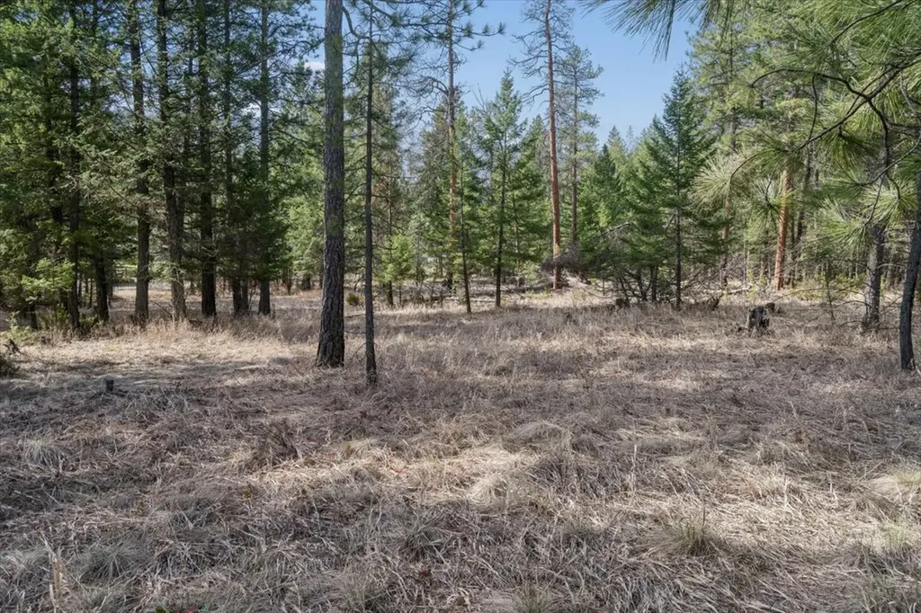 Nhn Cove Drive Rexford MT 59930