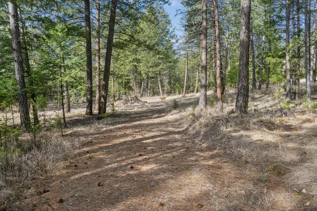Nhn Cove Drive Rexford MT 59930