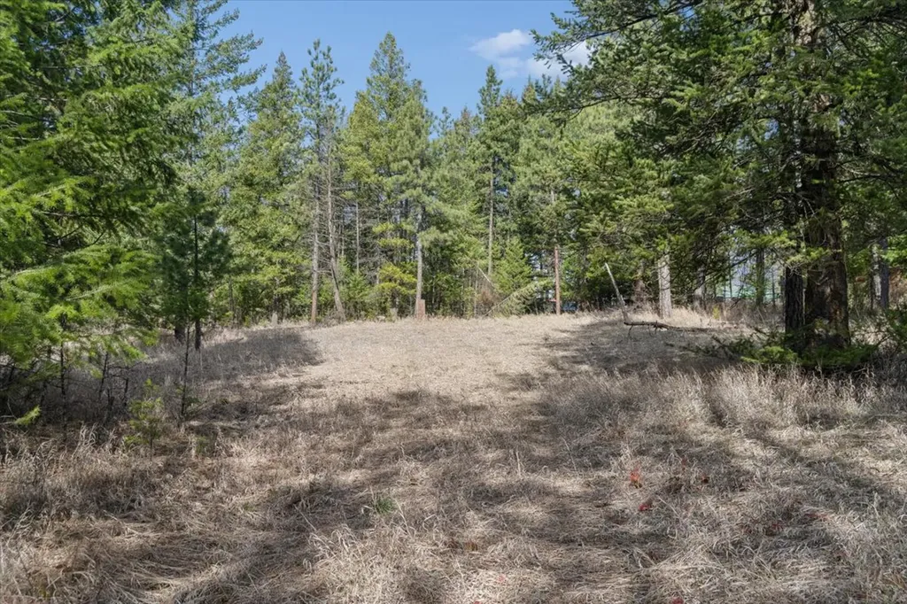 Nhn Cove Drive Rexford MT 59930