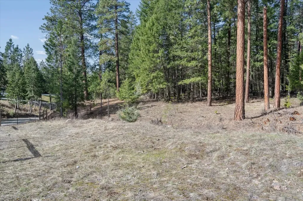 Nhn Cove Drive Rexford MT 59930