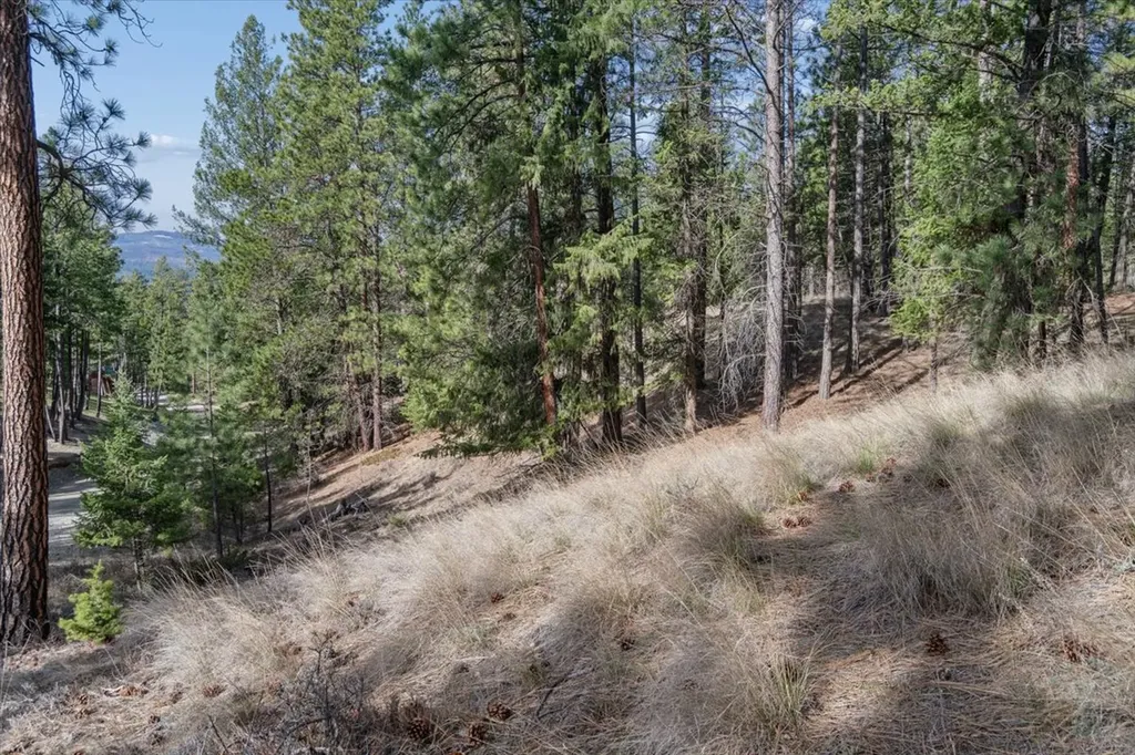 Nhn Cove Drive Rexford MT 59930