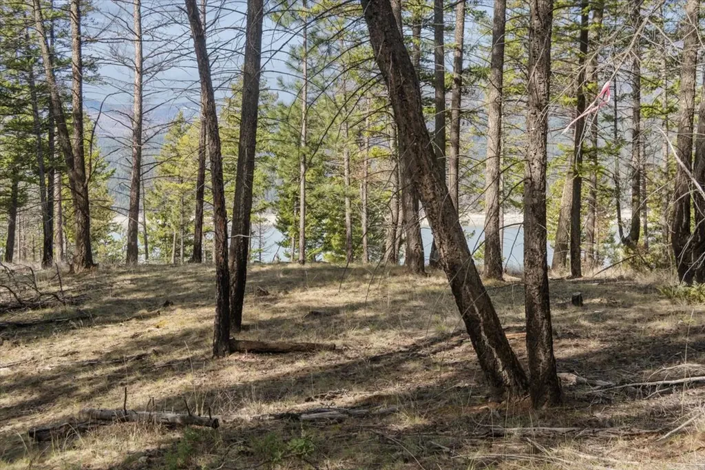 Nhn Cove Drive Rexford MT 59930