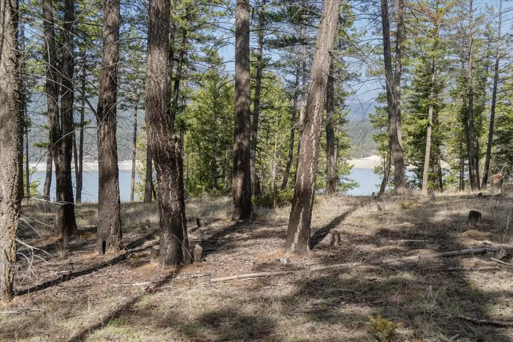 Nhn Cove Drive Rexford MT 59930