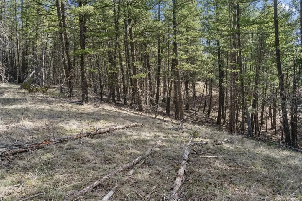 Nhn Cove Drive Rexford MT 59930