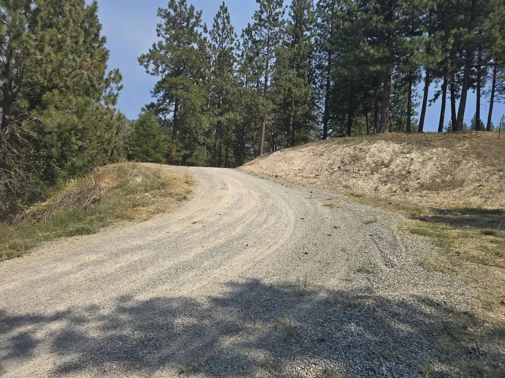 8596 Mt Highway 200 Plains MT 59859