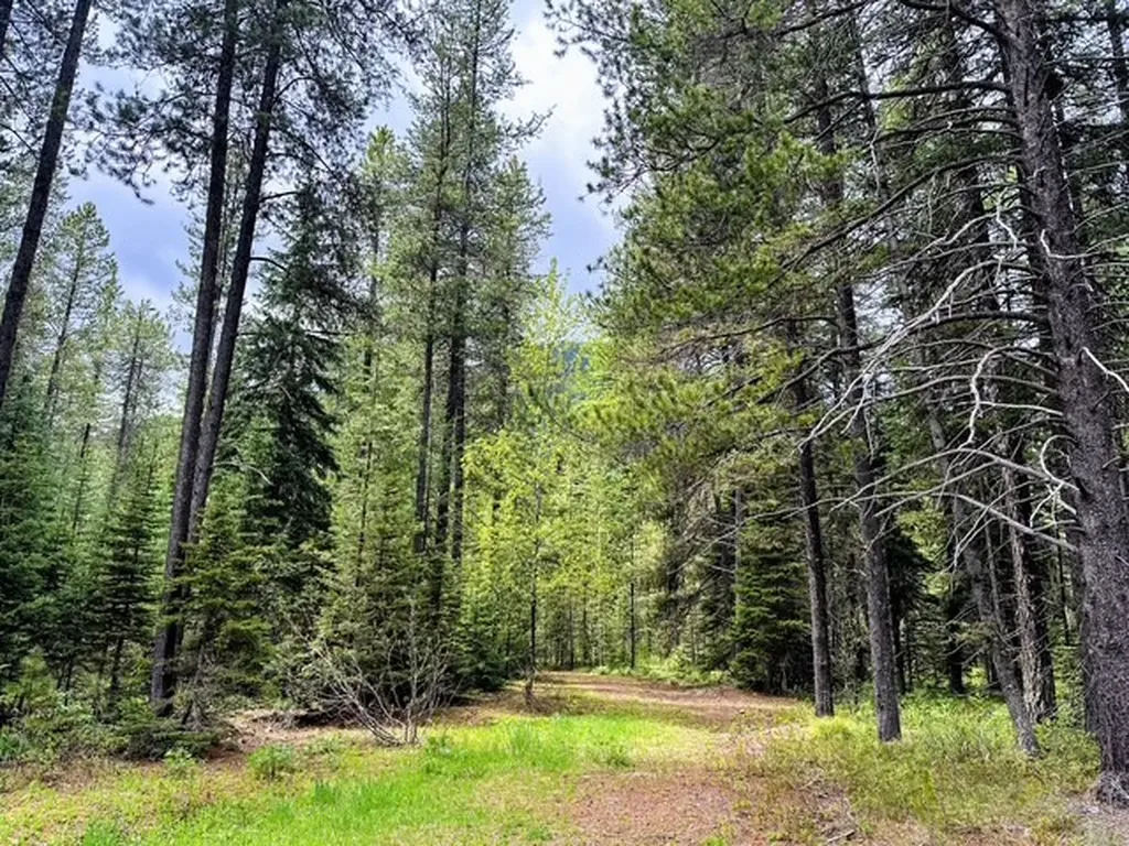 14715 Us Highway 2 E Essex MT 59916