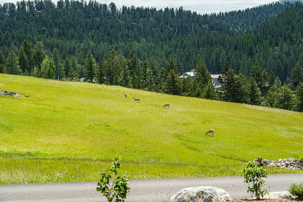 150 Granite Hill Road Kalispell MT 59901