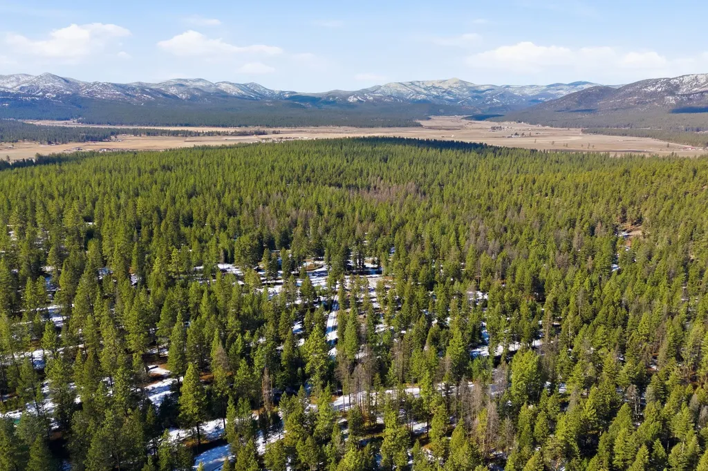 Nhn Hidden Treasure Court Bonner MT 59823