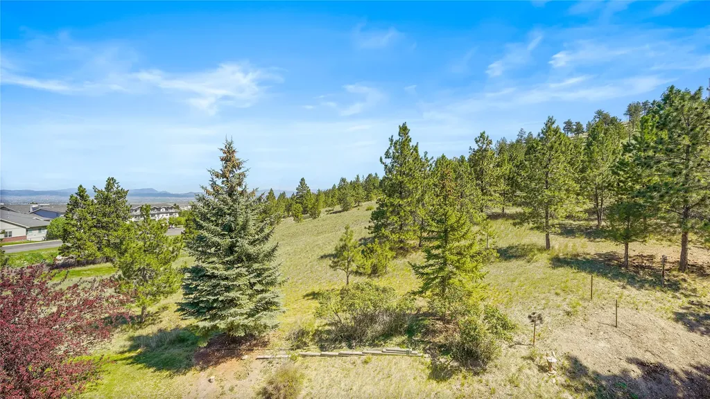 1011 Saddle Drive Helena MT 59601