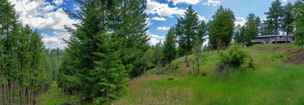 3410 Ray Mountain Road Darby MT 59829