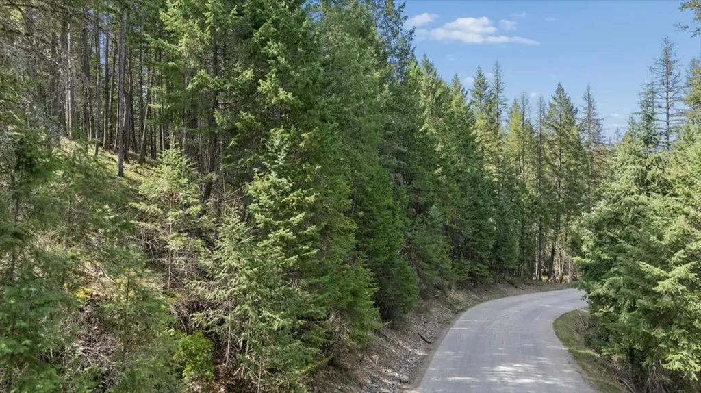 262 N Many Lakes Drive Kalispell MT 59901