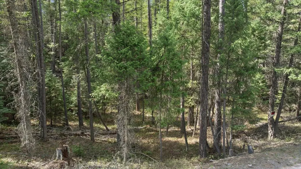 262 N Many Lakes Drive Kalispell MT 59901