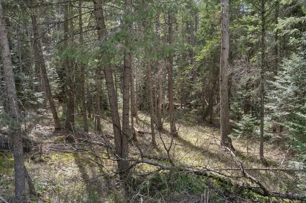 262 N Many Lakes Drive Kalispell MT 59901