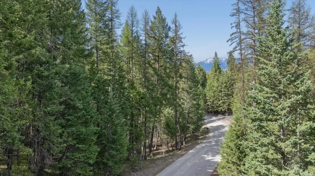 262 N Many Lakes Drive Kalispell MT 59901