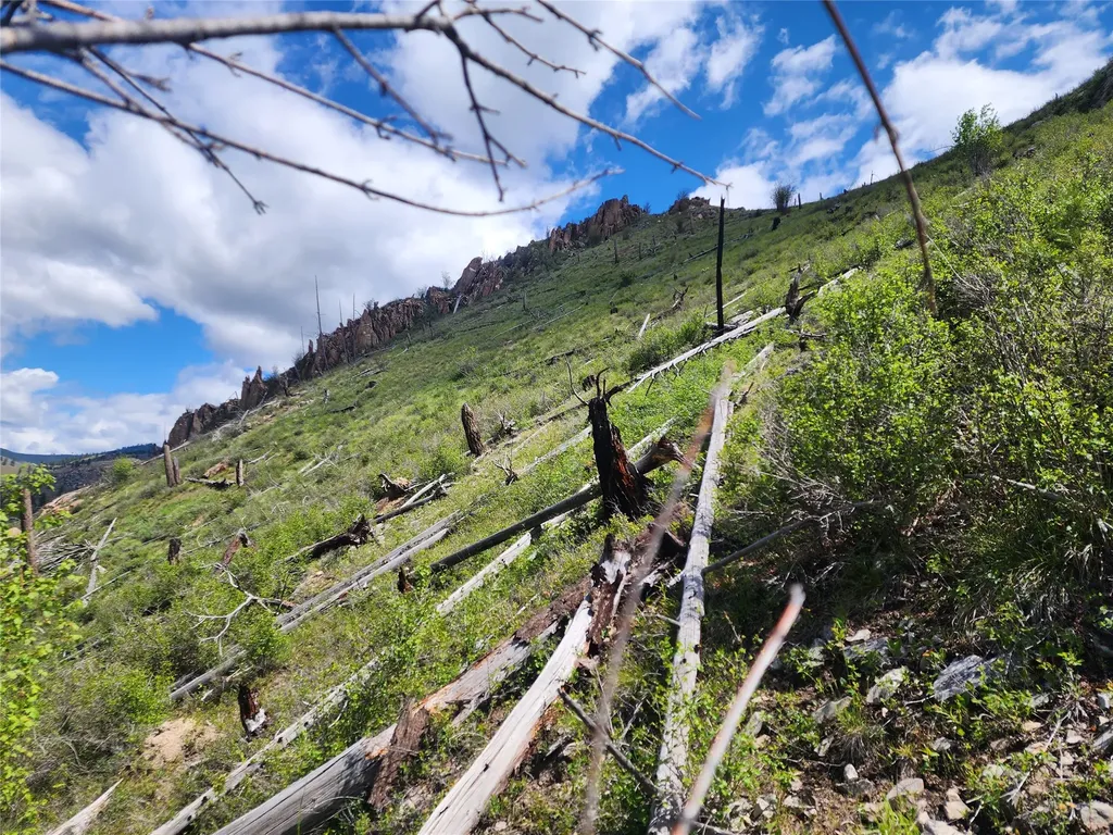 Nhn Blind Creek Draw Road Conner MT 59827
