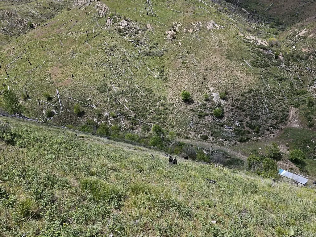 Nhn Blind Creek Draw Road Conner MT 59827
