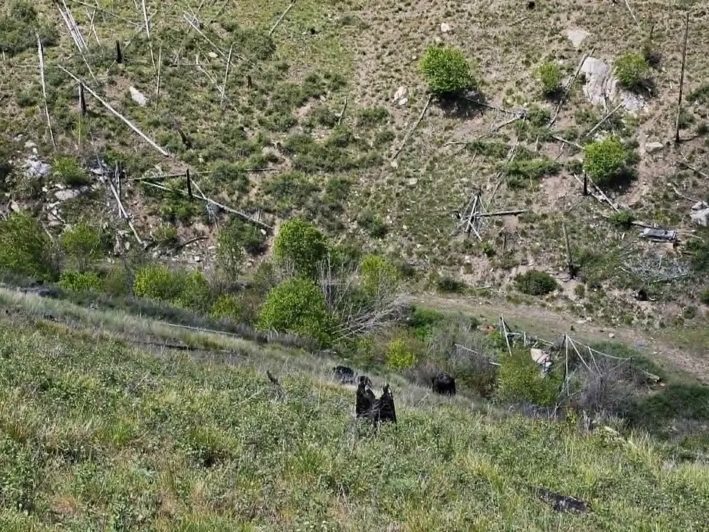 Nhn Blind Creek Draw Road Conner MT 59827