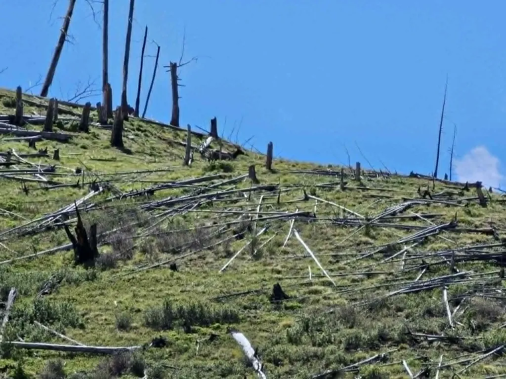 Nhn Blind Creek Draw Road Conner MT 59827