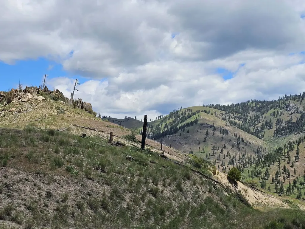 Nhn Blind Creek Draw Road Conner MT 59827
