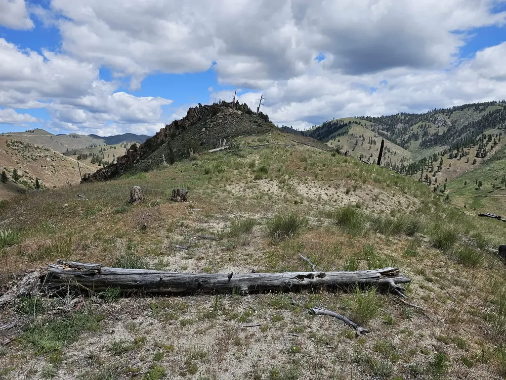 Nhn Blind Creek Draw Road Conner MT 59827