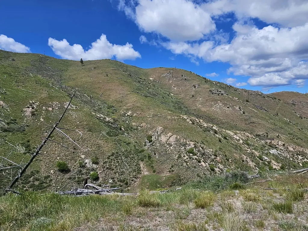Nhn Blind Creek Draw Road Conner MT 59827