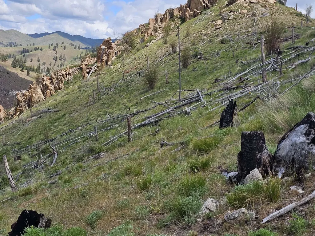 Nhn Blind Creek Draw Road Conner MT 59827