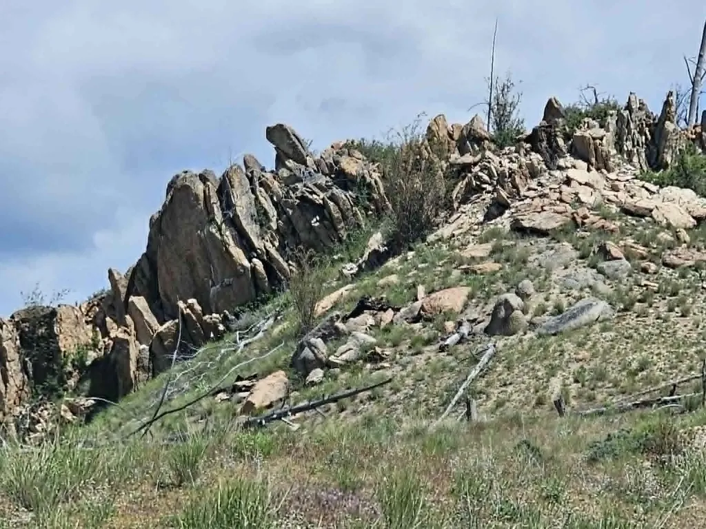 Nhn Blind Creek Draw Road Conner MT 59827
