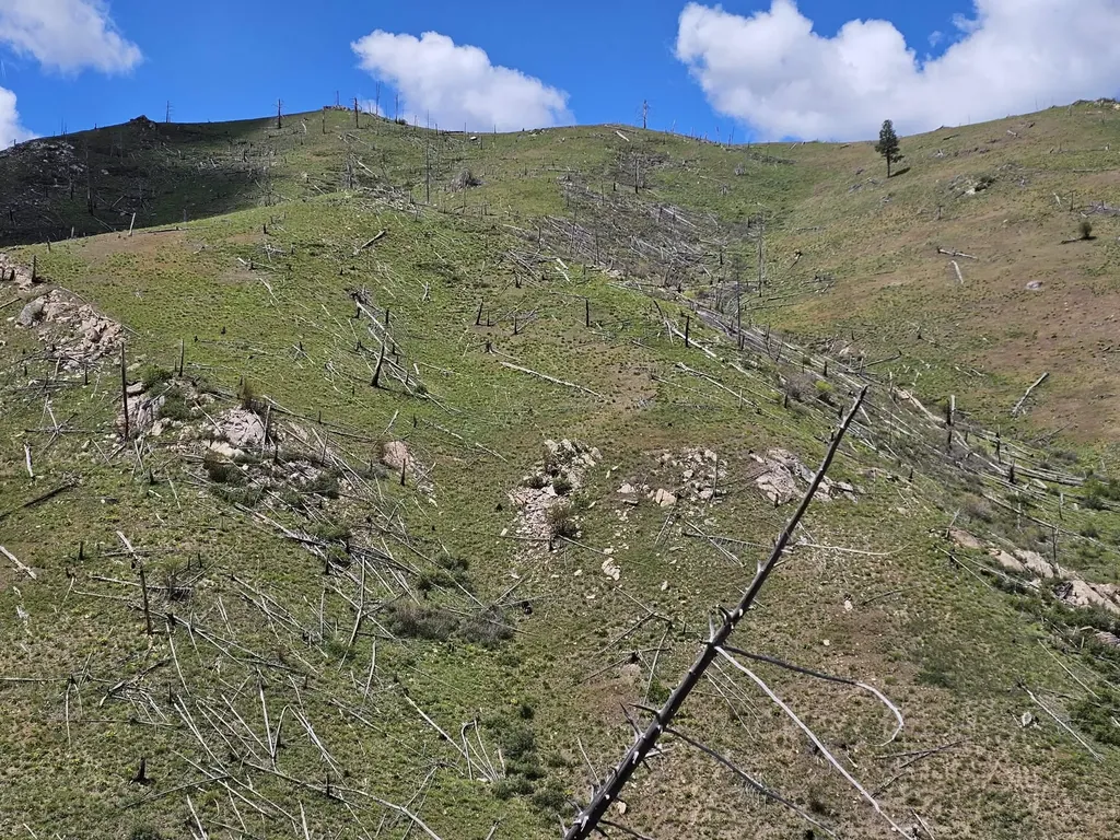 Nhn Blind Creek Draw Road Conner MT 59827