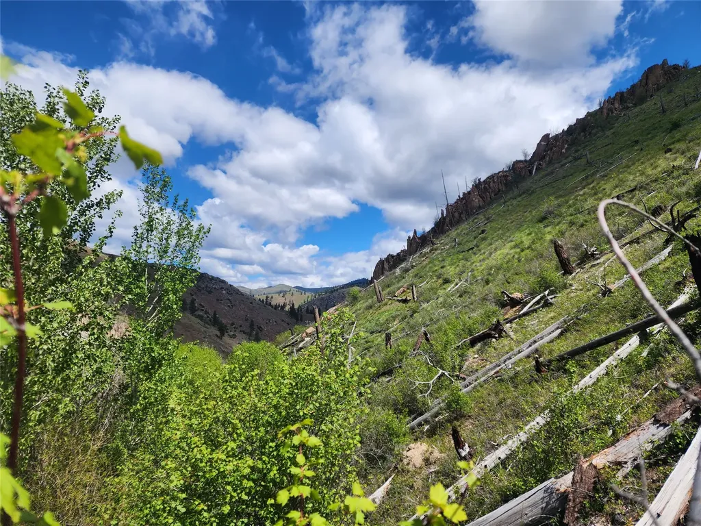Nhn Blind Creek Draw Road Conner MT 59827