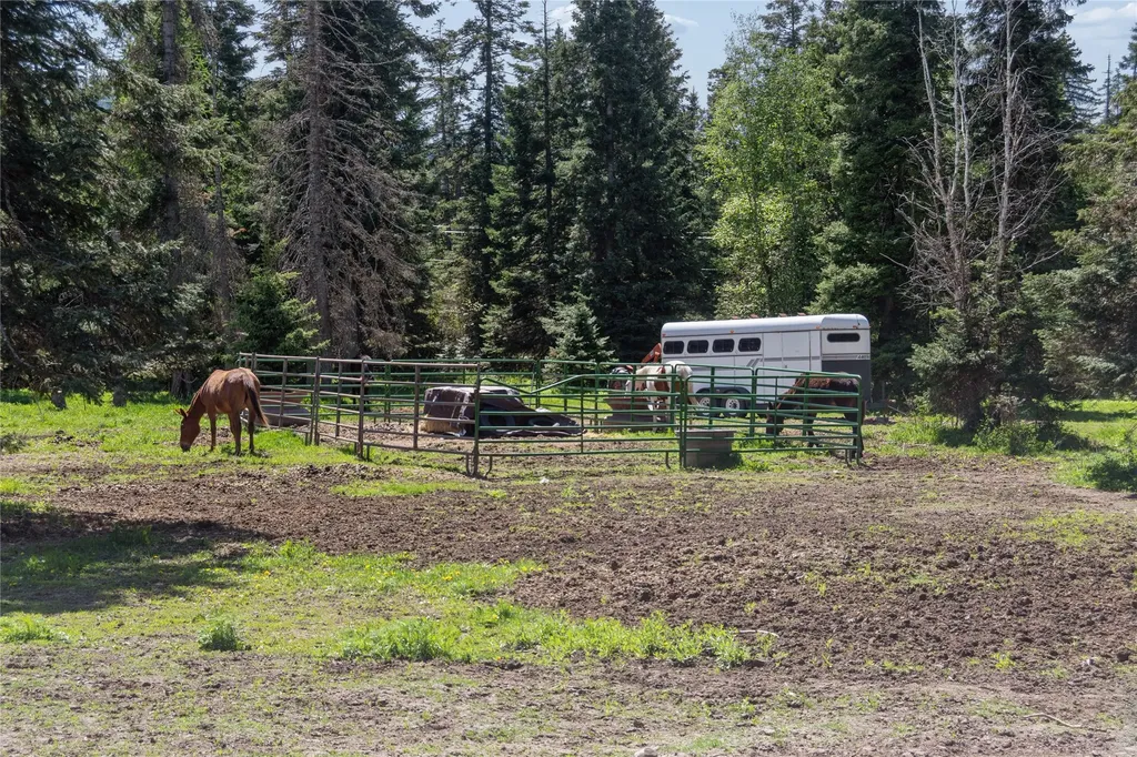 28321 Cougar Trail Bigfork MT 59911