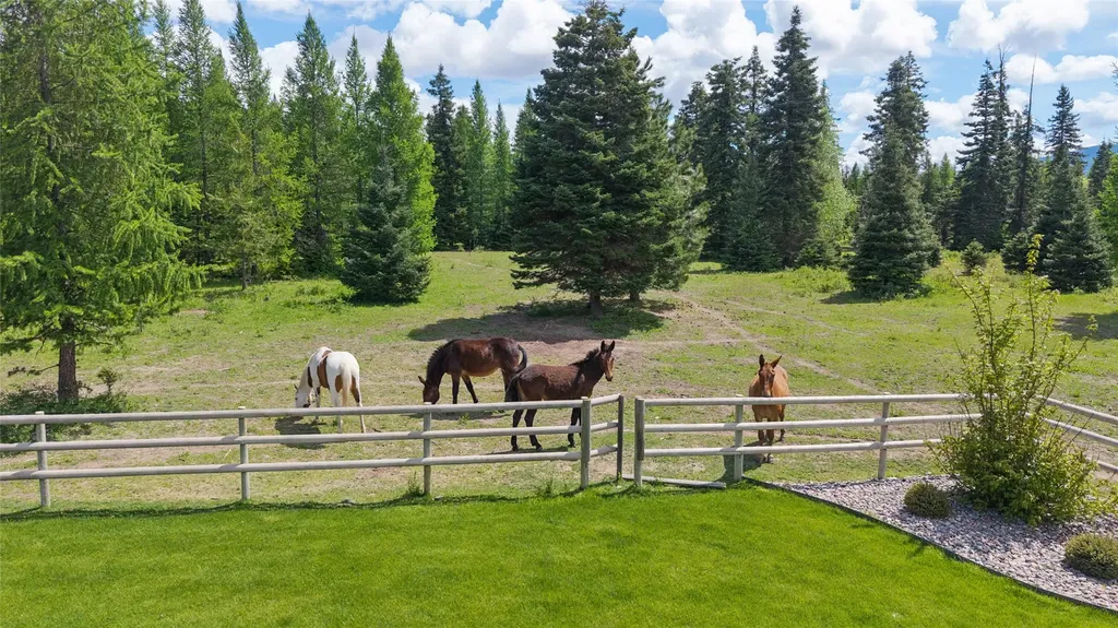28321 Cougar Trail Bigfork MT 59911