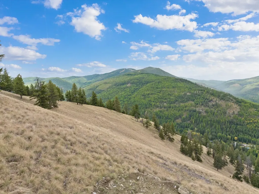 Tract 1 & 2 Wild Horse Trail Kila MT 59920
