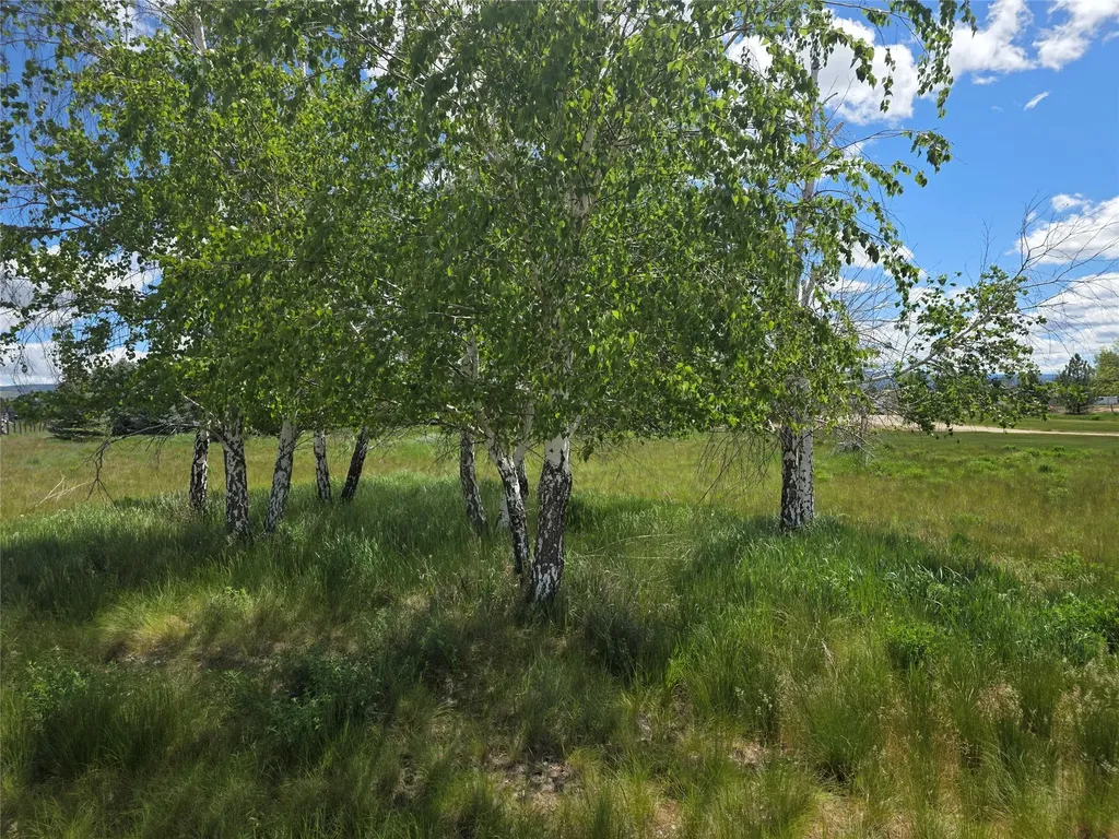 237 Eight Mile Road Florence MT 59833