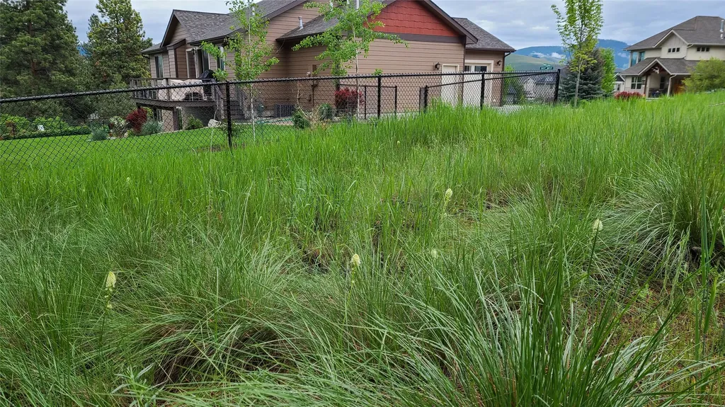 10291 Coulter Pine Street Lolo MT 59847