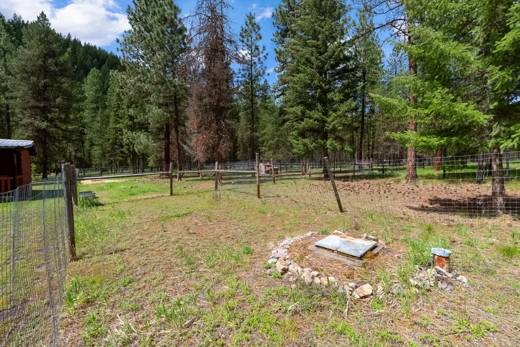 1155 Outback Trail Alberton MT 59820