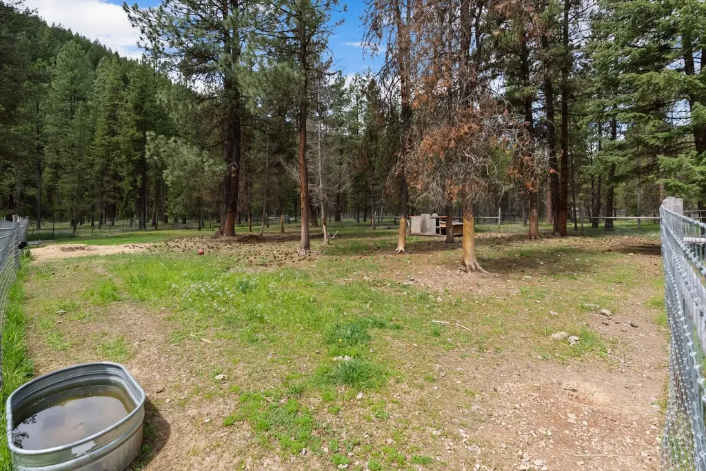 1155 Outback Trail Alberton MT 59820