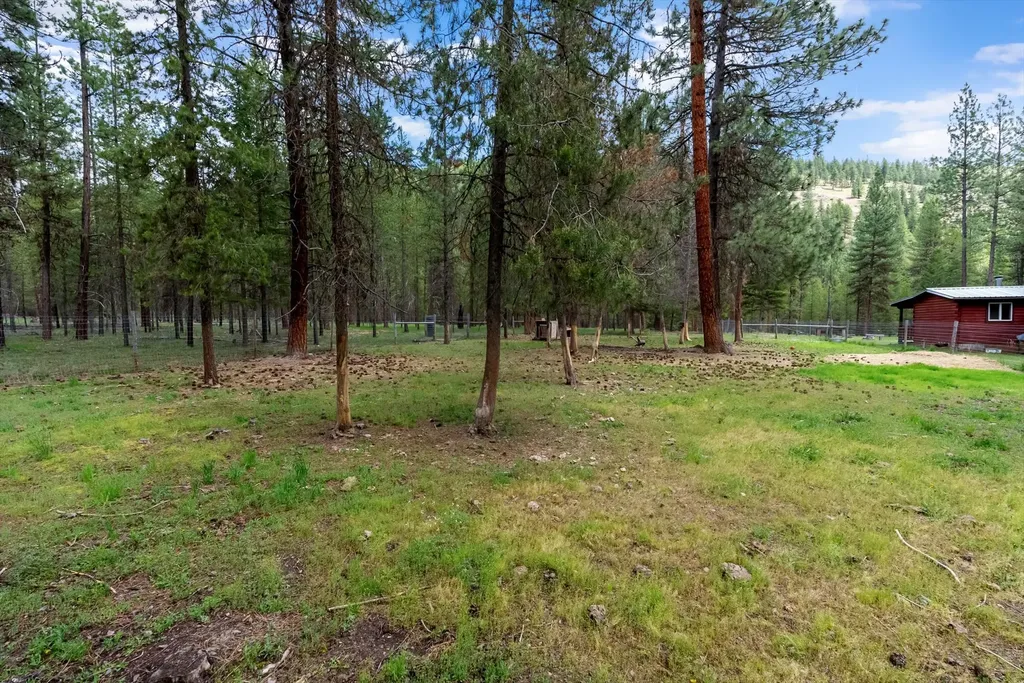 1155 Outback Trail Alberton MT 59820
